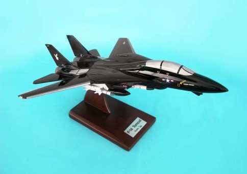 F-14 Black Bunny Usn