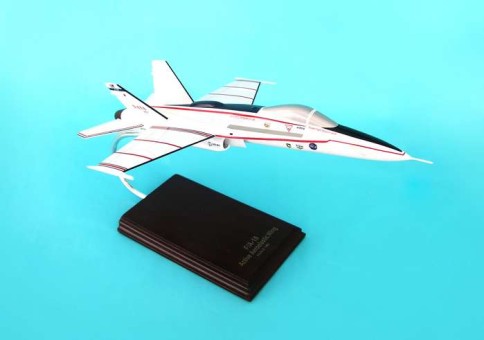 F-18 Hornet NASA/AAW