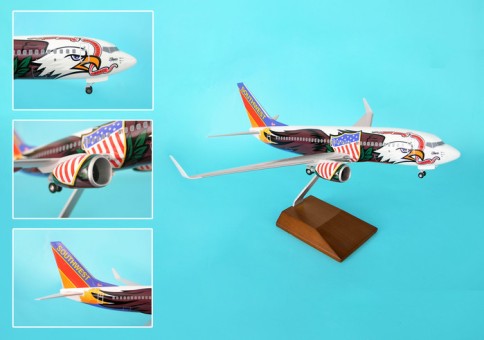 Southwest 737-700 Illinois One