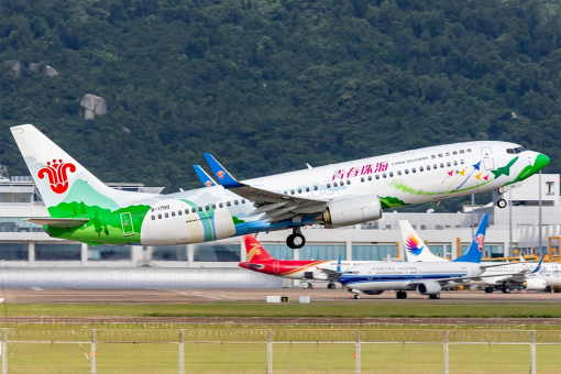 China Southern Boeing 737-800w B-1700 Zhuhai City of Youth livery 中国南方航空 NG Models 58120 scale 1:400