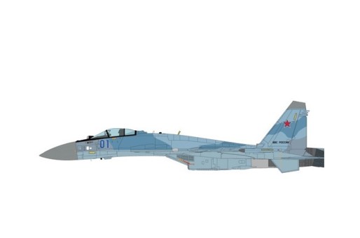 Russian Air Force Su-35S Flanker-E 116th Combat App Training Center of FA VKS Sept 2022 Hobby Master HA5713 Scale 1:72
