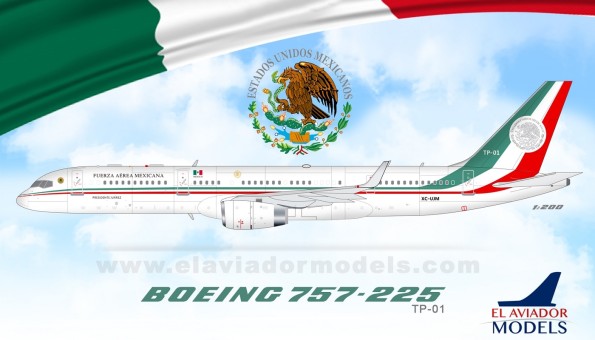 Fuerza Aerea Mexicana Boeing 757-225 old presidential transport  TP-01 InFlight EAVTP01 scale 1:200