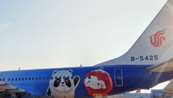 Air china Boeing 737-800(W) Beijing 2020 Winter Olympics B-5425 JC Wings JC4CCA479 scale 1:400