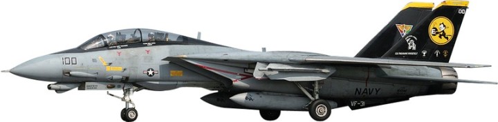 F-14D Tomcat VF31, "Tomcatters," US Navy Scale 1:72 Die Cast Model WTY72009-26
