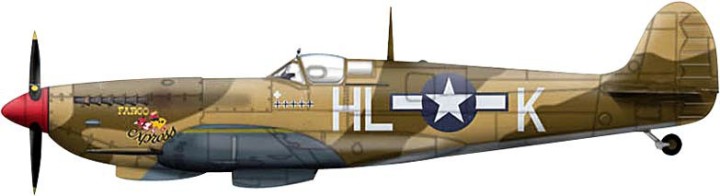 Spitfire Mk..VIII Scale 1:42 