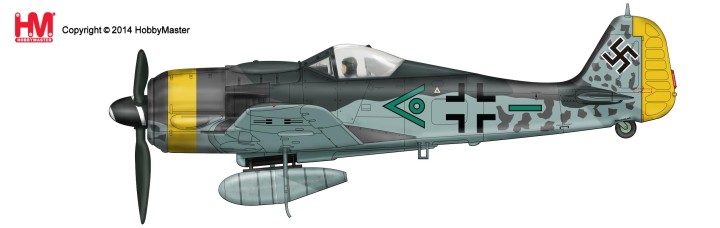 Focke Wulf FW190 F-9 Munich, Germany, 1945  Hobby Master HA7416 1:48 