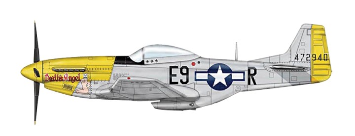 USAAF P-51D Mustang 1/48