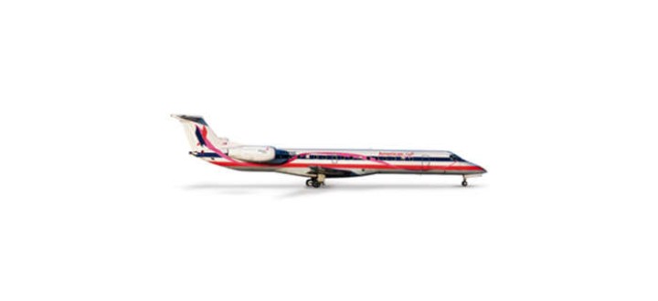 American Eagle ERJ145 Susan G Komen Livery