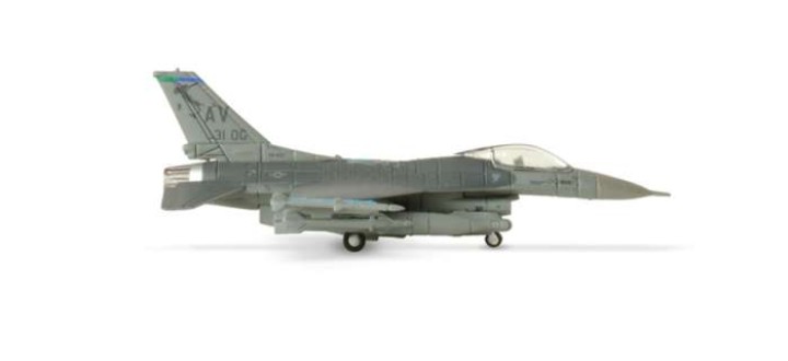 USAF F-16C 31ST Fw