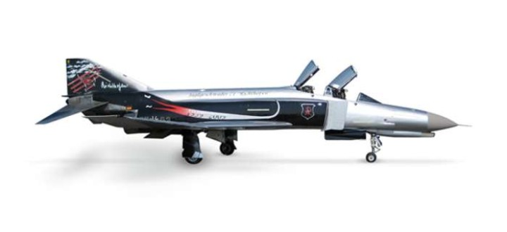 Luftwaffe F4F JG71 50 Jahre
