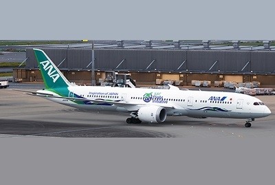 Flaps Down ANA All Nippon Boeing 787-9 Dreamliner JA871A 'Future