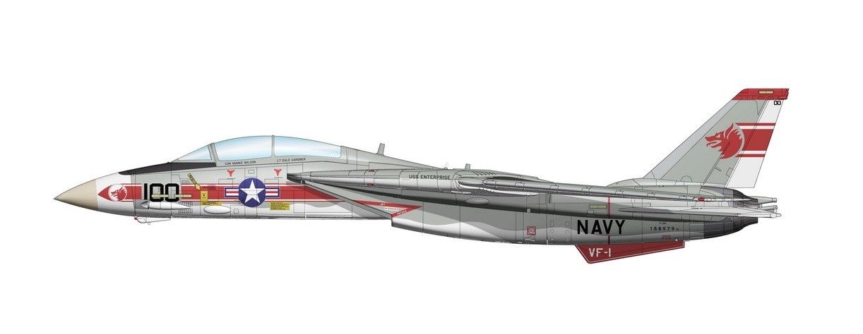 Highly detailed Hobby Master warbird F-14A Tomcat Wolfpack USS