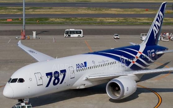 ANA All Nippon Boeing 787-8 Special Dremliner Livery Reg# JA801A