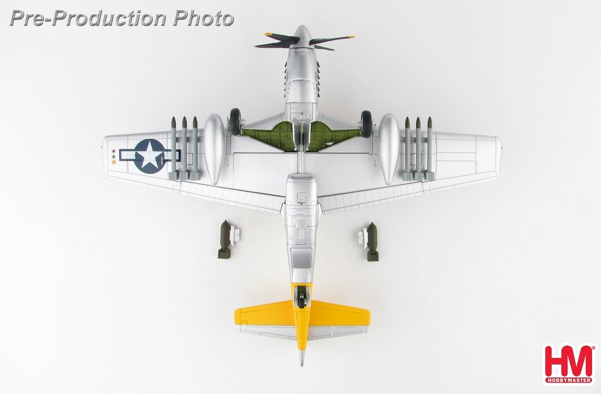 462nd FS William Ebersole Hon Hobby Master 1:48 P-51D Mustang USAAF 506th FG 