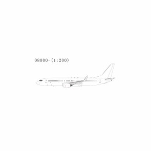 Boeing 737-800/w NG08000 NG Model 1:200