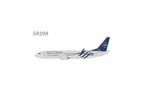 Xiamen Airlines 737-800 SkyTeam cs B-5633 58208 NG Models Scale 1:400
