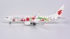 Air China Boeing 737-800 B-5425 winglets Expo 2019 NGModel 58030 scale 1:400