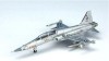 Rocaf F-5F Silver, China HG7952 Hogan 1:200