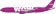 Wow Air Iceland Airbus A330-300 Reg# EC-MIO Phoenix 11297 Scale 1:400