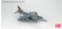 Harrier GR.9 RAF No. 4 Sqn disbandment scheme "ZG858" Scale 1/72 HA2611