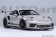 Porsche 911 (991.2) GT3 RS, Crayon