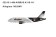 Allegiant Airbus A319-111 N328NV Raiders Football Black & Silver Livery Panda Models 52318 Scale 1:400