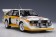 Audi Sport Quattro S1 Rally Monte Carlo 1986 W.Rohrl/C.Geistdorfer #2 AUTOart 88601 scale 1:18 
