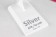 Silver ATR-42 N400SV Bella Flamingo Skymarks SKR965 scale 1-100 