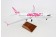 Swoop Canadian Airline Boeing B737-800 Scimitars C-FPLS Wood stand and Gears Skymarks Supreme SKR8273 Scale 1-100